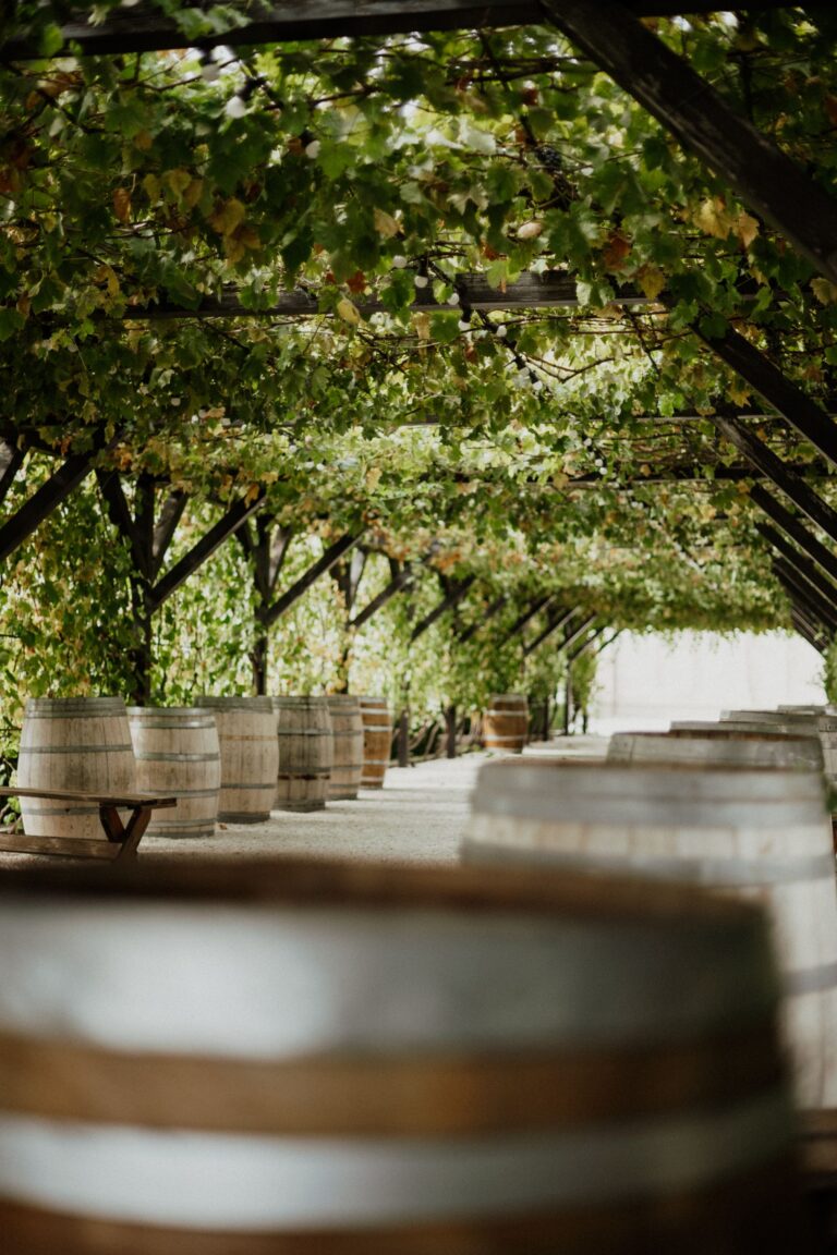 Winery