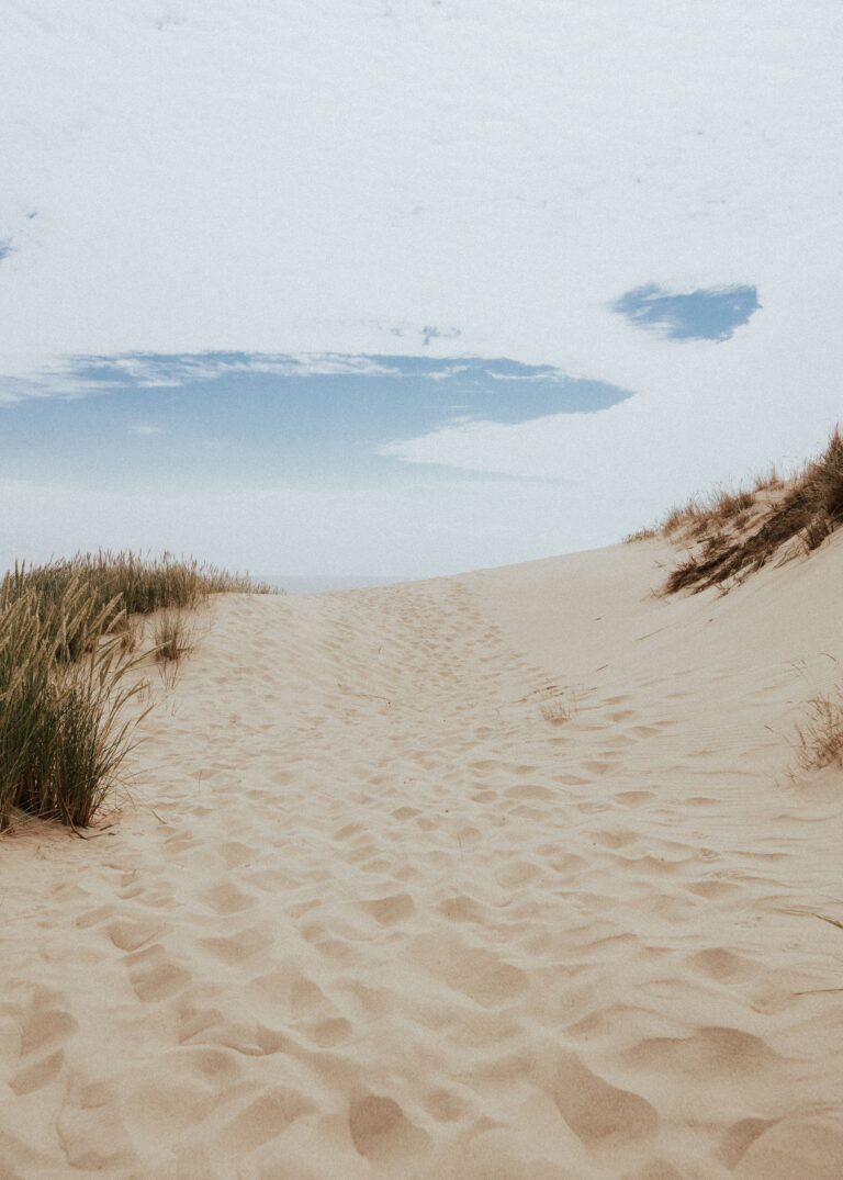 South Shore Beaches