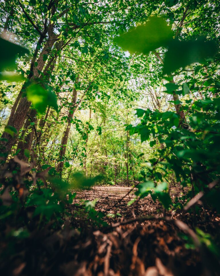 Nature Preserve